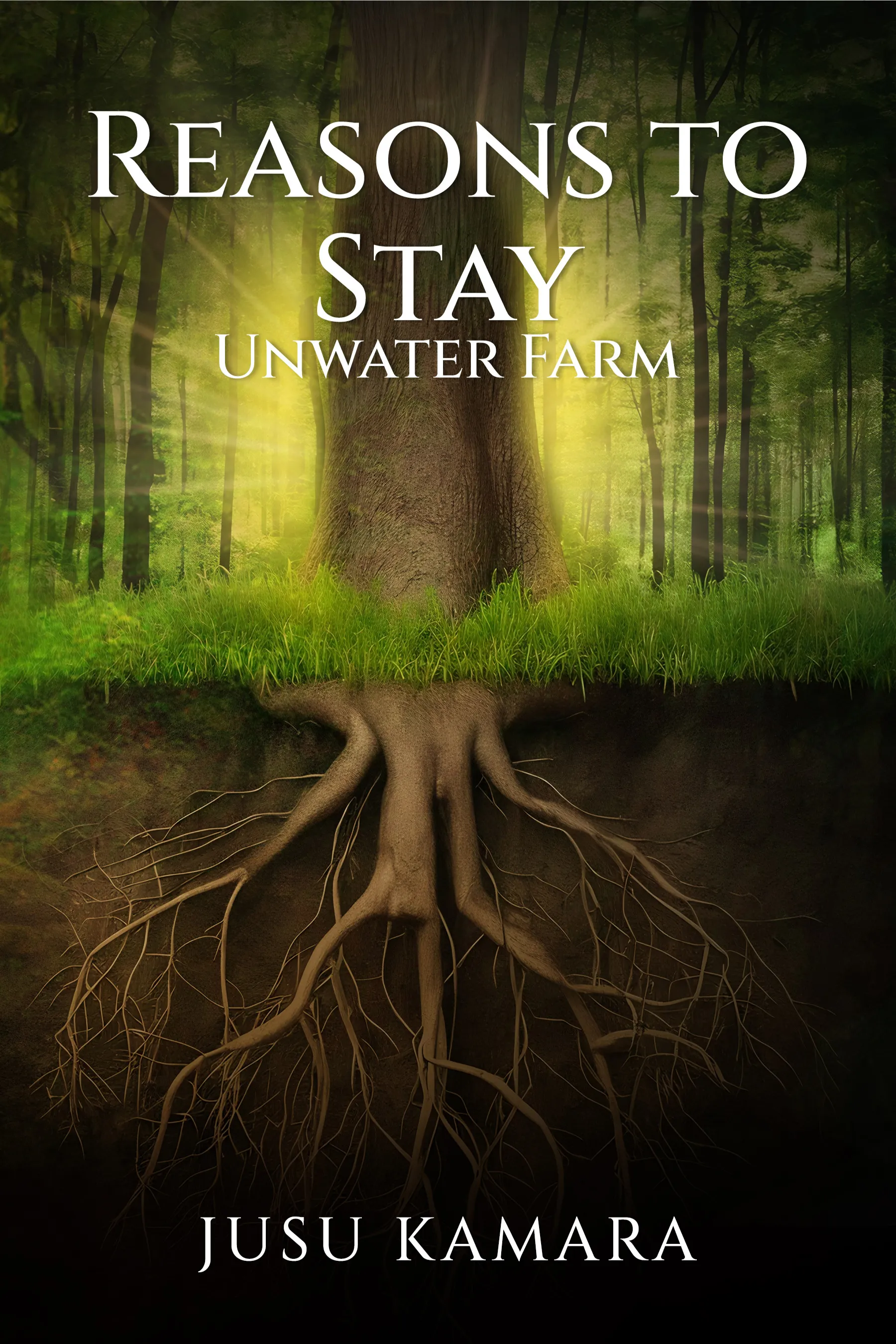 The Beginning After The End